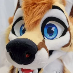 Ady - photo 9 - Handcrafted Custom Fursuit by StuffedTails