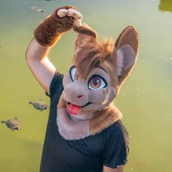 Armeyk - photo 10 - Handcrafted Custom Fursuit by StuffedTails