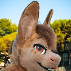 Armeyk - photo 4 - Handcrafted Custom Fursuit by StuffedTails
