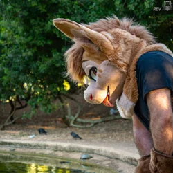 Armeyk - photo 14 - Handcrafted Custom Fursuit by StuffedTails