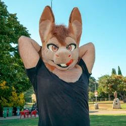 Armeyk - photo 16 - Handcrafted Custom Fursuit by StuffedTails