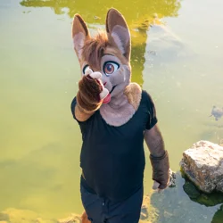 Armeyk - photo 7 - Handcrafted Custom Fursuit by StuffedTails