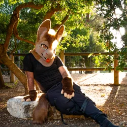 Armeyk - photo 11 - Handcrafted Custom Fursuit by StuffedTails
