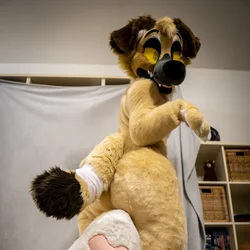 Dahgoo ( No head) - photo 4 - Handcrafted Custom Fursuit by StuffedTails