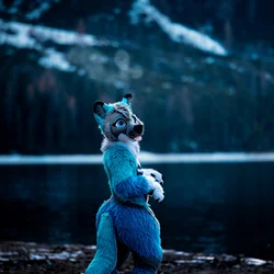 Ikaros - photo 3 - Handcrafted Custom Fursuit by StuffedTails