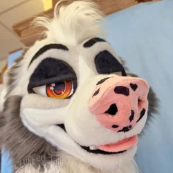 Jay B - photo 4 - Handcrafted Custom Fursuit by StuffedTails