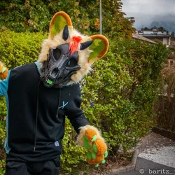 Jupiter (premade) - photo 5 - Handcrafted Custom Fursuit by StuffedTails