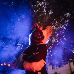 Jupiter (premade) - photo 3 - Handcrafted Custom Fursuit by StuffedTails