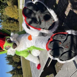 Kaomoro (body) - photo 5 - Handcrafted Custom Fursuit by StuffedTails
