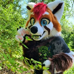 Lorx - photo 3 - Handcrafted Custom Fursuit by StuffedTails
