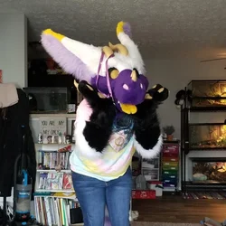 Orion - photo 5 - Handcrafted Custom Fursuit by StuffedTails