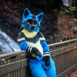 Redwing - photo 3 - Handcrafted Custom Fursuit by StuffedTails
