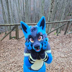 Redwing - photo 5 - Handcrafted Custom Fursuit by StuffedTails