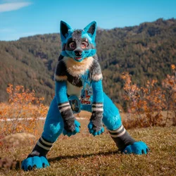 Redwing - photo 6 - Handcrafted Custom Fursuit by StuffedTails