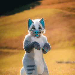 Rei - photo 5 - Handcrafted Custom Fursuit by StuffedTails