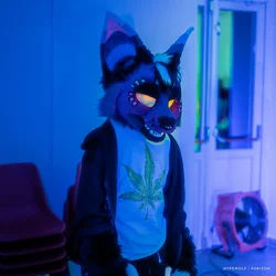 Ryu - photo 1 - Handcrafted Custom Fursuit by StuffedTails