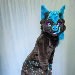 Shado - photo 10 - Handcrafted Custom Fursuit by StuffedTails
