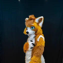 Soonyx V1 - photo 4 - Handcrafted Custom Fursuit by StuffedTails