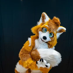 Soonyx V1 - photo 3 - Handcrafted Custom Fursuit by StuffedTails