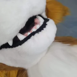 Soonyx V1 - photo 14 - Handcrafted Custom Fursuit by StuffedTails