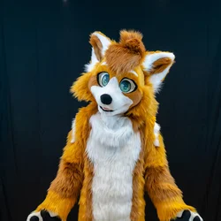 Soonyx V1 - photo 1 - Handcrafted Custom Fursuit by StuffedTails