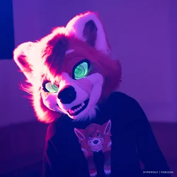 Soonyx V2 - photo 2 - Handcrafted Custom Fursuit by StuffedTails
